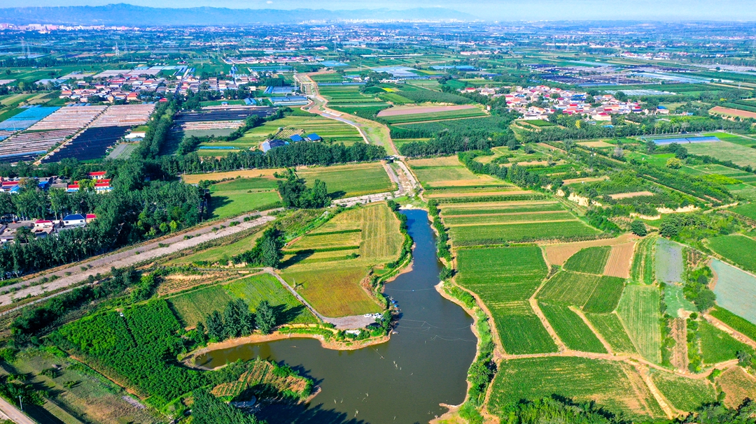 大美夏县 | 青龙河畔生态美